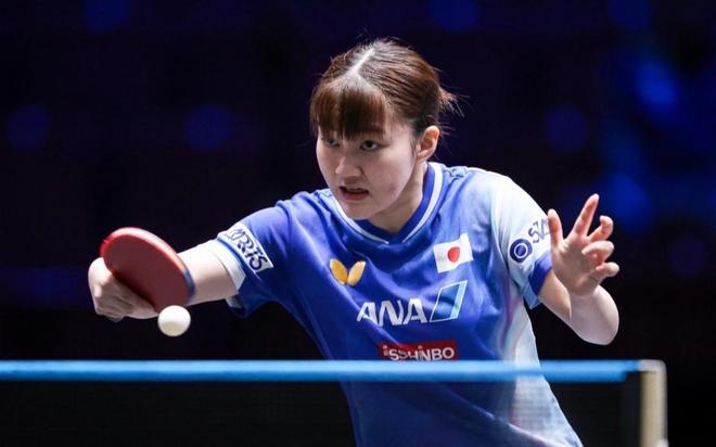 森林狼在主 森林狼在主